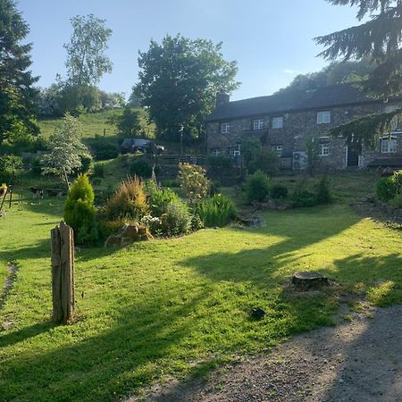Apartamento Pant-Y-Creolen Llanfyllin Exterior foto